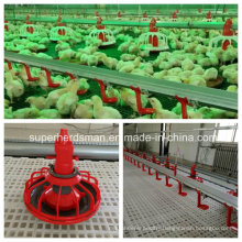 Full Set Automatic Poultry House Equipment for Broiler Production